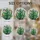 duiyfppz/products/6a2b9d7ecdcb770271fff6ee/gallery/-bh9TTj9gT