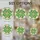 duiyfppz/products/6a2b9de22d14e07eb181a2e6/gallery/IwuOjhEWKw