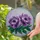 duiyfppz/products/6a2b9e3d76603318f8ac1939/gallery/WOuH7dlZUk