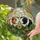 duiyfppz/products/6a2ba74330fd26509a139c89/gallery/h4I8HMZz8S