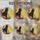 duiyfppz/products/6a2ba762f7002567f164f22e/gallery/b00EXYGTSx
