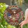Bald Eagle Liberty Bell American Flag 250 - Independence Day Gift for Veterans Stained Glass Suncatcher - 2