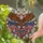 Bald Eagle American Flag Cross 250 - Independence Day Gift for Veterans Stained Glass Suncatcher - 2