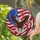 Bald Eagle American Flag - Independence Day Gift for Veterans Stained Glass Suncatcher - 2