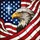 Bald Eagle American Flag - Independence Day Gift for Veterans Stained Glass Suncatcher - 5