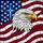 Bald Eagle American Flag Independence Day Home Decor Gift for Veterans Stained Glass Suncatcher - 5