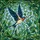 Flying Barn Swallow Mosaic Green Leaves Blue Sky - Home Decor Gift for Bird Watchers Stained Glass Suncatcher - 5
