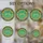 duiyfppz/products/6a2bbaa72408932e2e5cac0f/gallery/YIUjQUvOUR