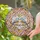 duiyfppz/products/6a2bbad6071a2608d55d0cb0/gallery/69iHJ0MBHF