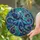 duiyfppz/products/6a2bbb16cdcb776a510018a9/gallery/PX5ZzhltMg
