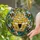 duiyfppz/products/6a2bbbebcdcb77dbc50019a8/gallery/TxbHkFiJlf