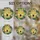 duiyfppz/products/6a2bbbebcdcb77dbc50019a8/gallery/erslTjBELI