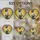 duiyfppz/products/6a2bbc1d5dbe881191584e5c/gallery/uZ52n4jAW6