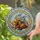duiyfppz/products/6a2bbd0e5dbe881714584ff1/gallery/Dr6aFkDLjf