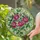 duiyfppz/products/6a2bbd667120d7044627261d/gallery/6X6W5IBVHF