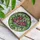 duiyfppz/products/6a2bbd667120d7044627261d/gallery/CNEM1-swf4