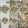 duiyfppz/products/6a2bbd667120d7044627261d/gallery/Vv4Hc4Hgbq