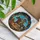duiyfppz/products/6a2bbda6cdcb771303001bca/gallery/yIUiiVbWjE