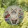 duiyfppz/products/6a2bbf30cdcb77f7b4001da9/gallery/5OB4C1kIzH