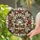 duiyfppz/products/6a2bbf5d240893c0015cb49b/gallery/-93b4lrHq6