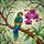duiyfppz/products/6a2bc112779a676e36daed98/gallery/LsbyeIB2CW