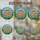 duiyfppz/products/6a2bc163779a672decdaee3f/gallery/BZrumQq7HD