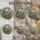 duiyfppz/products/6a2bc17330fd263f1513b112/gallery/IkZD6pg-J1