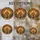 duiyfppz/products/6a2bc1fe1bc7972adbcdfd31/gallery/V1ld230gbB
