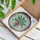 duiyfppz/products/6a2bc399cdcb7777a4002338/gallery/DGhFxrhBoU
