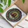 duiyfppz/products/6a2bc3b9071a2695925d1a9f/gallery/ZvUA_IG1b0