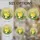 duiyfppz/products/6a2bc426240893e1835cbb26/gallery/5ZzZa7y4Vf