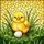 duiyfppz/products/6a2bc426240893e1835cbb26/gallery/WWRhs7Ih6m