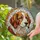 duiyfppz/products/6a2bc4801bc79735f1cdfeef/gallery/CSPazL8r6B