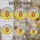 duiyfppz/products/6a2bc5618c904f4c5e5d1e31/gallery/6X_THTNOtv