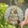 duiyfppz/products/6a2bc573f700258078650d98/gallery/tnlG_YMENV