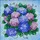 duiyfppz/products/6a2bc5a1f700256839650dd4/gallery/2qG5x7uiwH