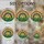 duiyfppz/products/6a2bc5b3240893f2d05cbda6/gallery/JgLEUVDG0g
