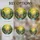 duiyfppz/products/6a2bc5c1d3519956c208d046/gallery/kJ-LXk7T5i