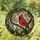duiyfppz/products/6a2bc5de24089304205cbdf2/gallery/5F6FnBE1EH