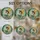 duiyfppz/products/6a2bc5eff7002573c6650ea6/gallery/58fQr2Gdez