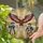 duiyfppz/products/6a2bc6bc071a26185b5d1ee1/gallery/HVRWBG_KjE