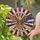 duiyfppz/products/6a2bc7791bc7975959ce031d/gallery/zwHYiqR1Nt