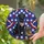 duiyfppz/products/6a2bc788f700255d7e65114c/gallery/TaHgHrlAZY