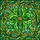 duiyfppz/products/6a2bc7e67660335e70ac4041/gallery/7Ybrd-S1Kl
