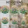 duiyfppz/products/6a2bc804d35199c64108d355/gallery/q_EUQTy3I7