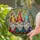 duiyfppz/products/6a2bc841d35199214408d390/gallery/fpvesxZ0Qu