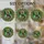 duiyfppz/products/6a2bc90e8c904f5a555d2361/gallery/sUw5mSmitf