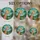 duiyfppz/products/6a2bc9aff700254a4e6513ce/gallery/6d3vQtr9aN