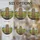 duiyfppz/products/6a2bc9ec30fd26320d13baf1/gallery/d3Asfb7X1m