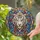 duiyfppz/products/6a2bca1a779a67ba83dafe73/gallery/4o-m7hTByl